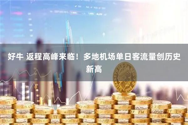 好牛 返程高峰来临！多地机场单日客流量创历史新高