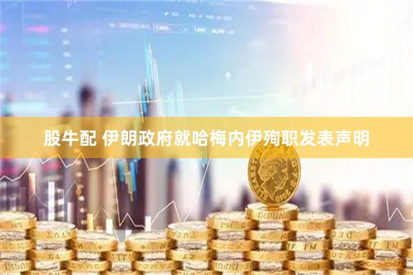 股牛配 伊朗政府就哈梅内伊殉职发表声明