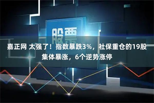嘉正网 太强了！指数暴跌3%，社保重仓的19股集体暴涨，6个逆势涨停