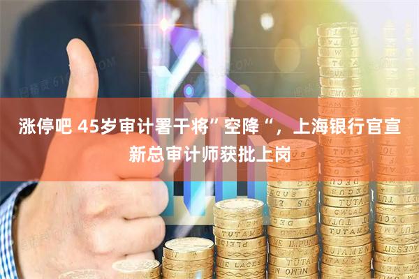 涨停吧 45岁审计署干将”空降“，上海银行官宣新总审计师获批上岗