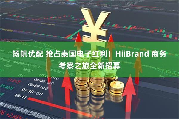 扬帆优配 抢占泰国电子红利！HiiBrand 商务考察之旅全新招募