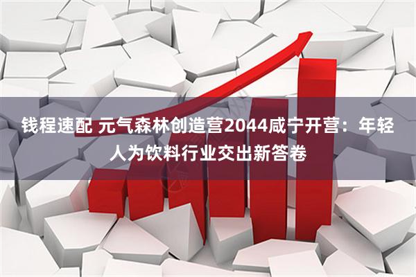 钱程速配 元气森林创造营2044咸宁开营：年轻人为饮料行业交出新答卷