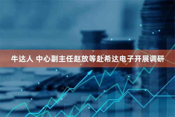 牛达人 中心副主任赵放等赴希达电子开展调研