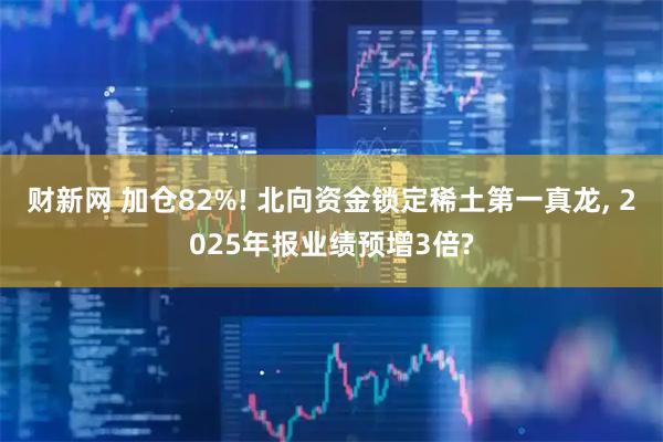 财新网 加仓82%! 北向资金锁定稀土第一真龙, 2025年报业绩预增3倍?