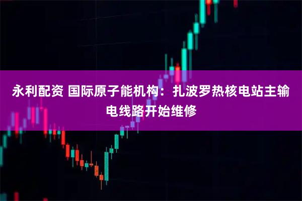 永利配资 国际原子能机构：扎波罗热核电站主输电线路开始维修