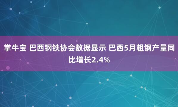 掌牛宝 巴西钢铁协会数据显示 巴西5月粗钢产量同比增长2.4%