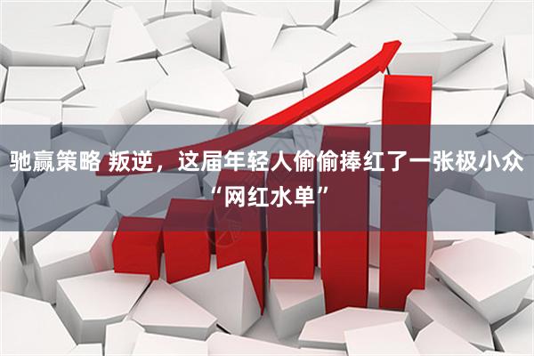 驰赢策略 叛逆，这届年轻人偷偷捧红了一张极小众“网红水单”