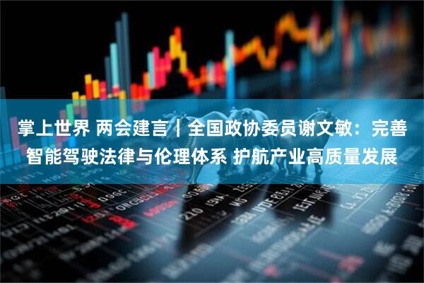 掌上世界 两会建言｜全国政协委员谢文敏：完善智能驾驶法律与伦理体系 护航产业高质量发展