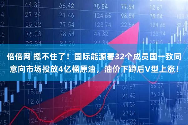 倍倍网 摁不住了！国际能源署32个成员国一致同意向市场投放4亿桶原油，油价下蹲后V型上涨！