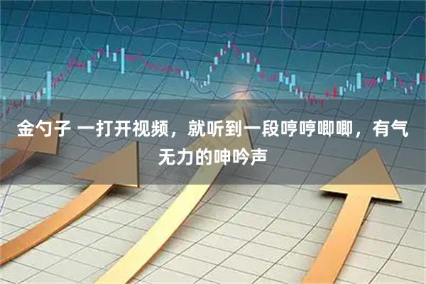 金勺子 一打开视频，就听到一段哼哼唧唧，有气无力的呻吟声