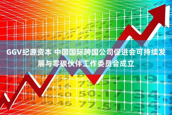 GGV纪源资本 中国国际跨国公司促进会可持续发展与零碳伙伴工作委员会成立