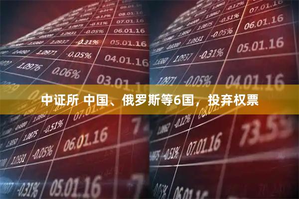 中证所 中国、俄罗斯等6国，投弃权票