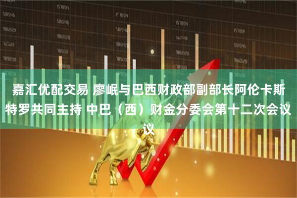 嘉汇优配交易 廖岷与巴西财政部副部长阿伦卡斯特罗共同主持 中巴（西）财金分委会第十二次会议