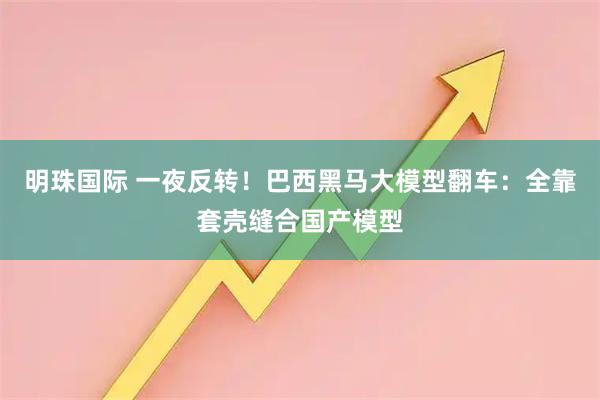明珠国际 一夜反转！巴西黑马大模型翻车：全靠套壳缝合国产模型