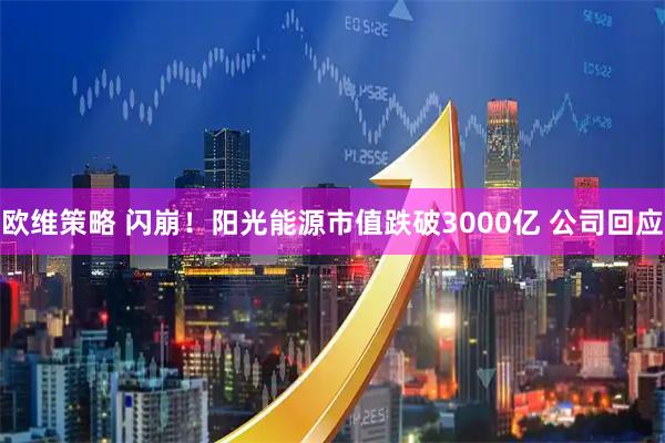 欧维策略 闪崩！阳光能源市值跌破3000亿 公司回应